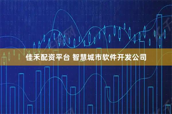 佳禾配资平台 智慧城市软件开发公司