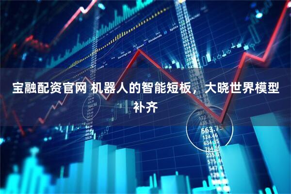 宝融配资官网 机器人的智能短板，大晓世界模型补齐